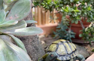 Profumo di Limoni Vacation Rental - Foto 18