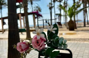 Frente a la ISLA - Foto 1