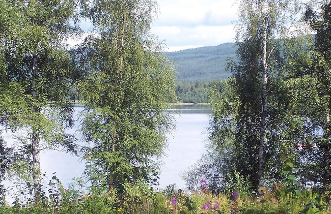 6 Person Holiday Home in Torsby - Foto 21