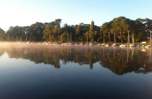 Gastes, Charmant chalet en bois avec Jacuzzi 6 pers - Foto 18