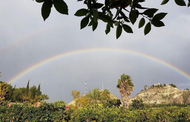 La Joya del Valle de Ricote - Photo 36