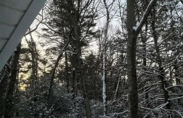 Woodside Cabin in Delaware Water Gap - Foto 42