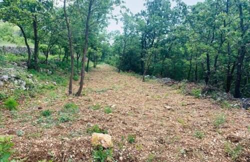 La Finca OliveTree - Foto 49