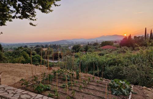 Skoza farm house - Foto 12