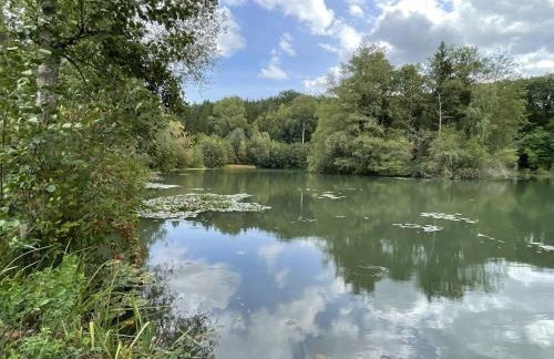 Erlachoase - Photo 50