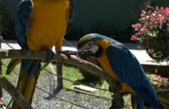 Casa espaçosa famíliar - Foto 37