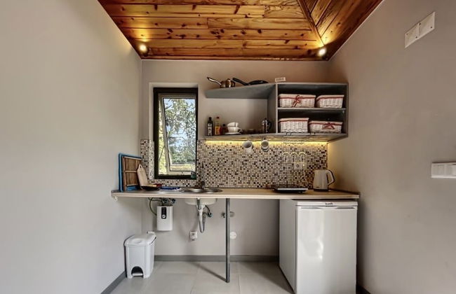 White Rabbit - Photo 3