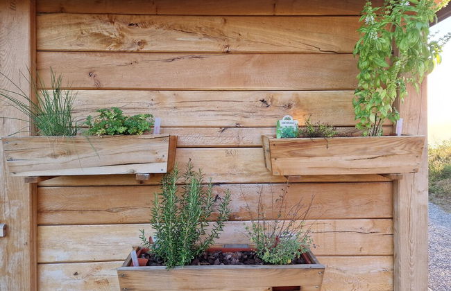 Vineyard cottage Vinska grajska kašča - Foto 52