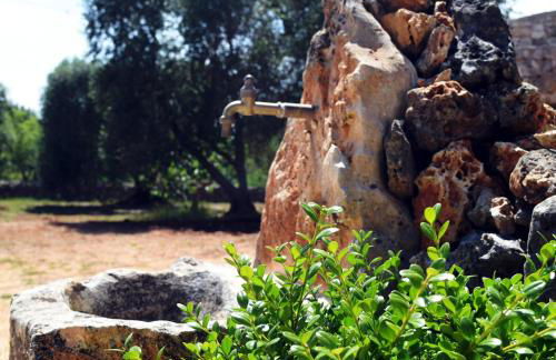 Dimore Storiche - Ulivo di Aldo - Foto 23