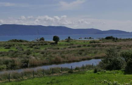 Les Figuiers - Foto 15