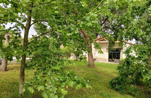 gîte 10 pers - Rimbes Casteljaloux - Foto 10