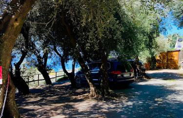 Cav Gli Ulivi di Bogliasco parcheggio privato gratuito - Foto 51