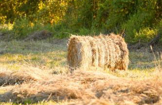Lunigiana Experience - Foto 20