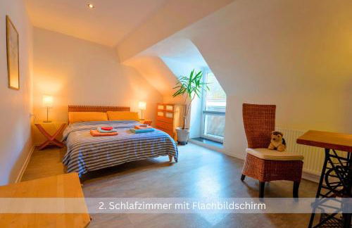 Kinofilmwohnung mit großem Dachgarten im Gästehaus Graf-Schmelzer - Foto 10