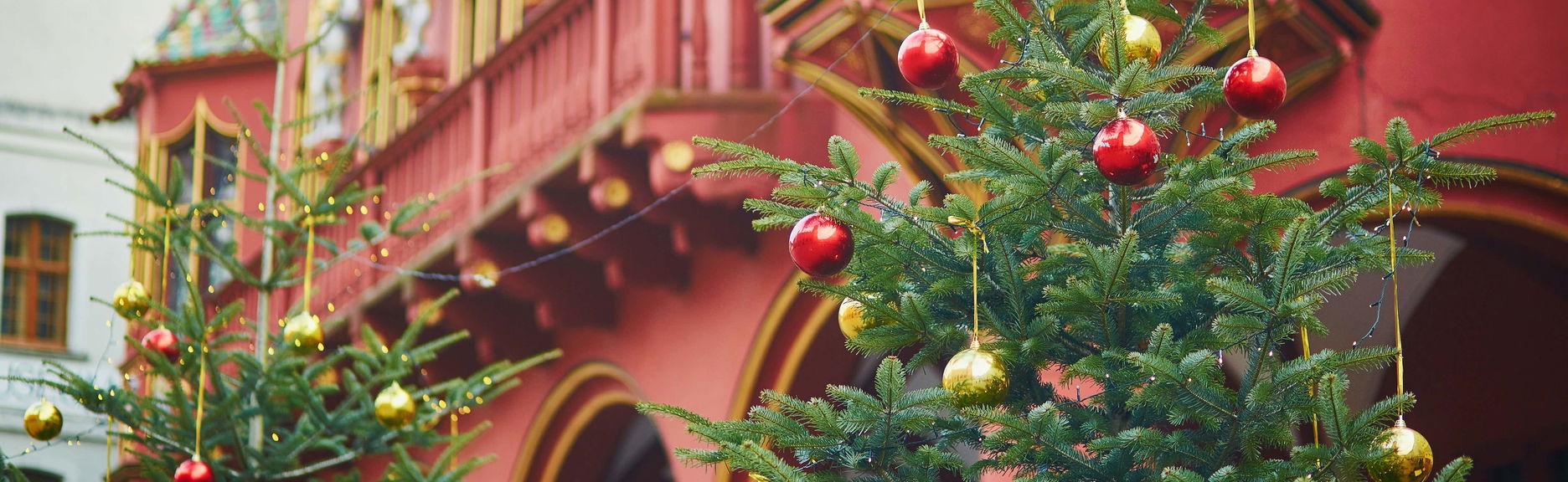 Tour por el mercadillo navideño de Friburgo de Brisgovia