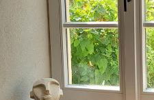 Ferienhaus mit Baukulturpreis in der Südeifel - Ferienhaus TRÄNK - Foto 23