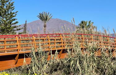 La Perla del Mar - Photo 37