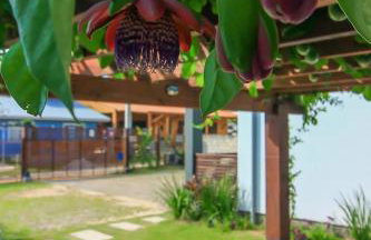 Dunas Studios - Foto 18