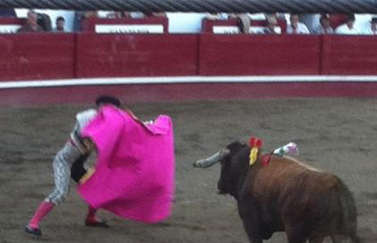 OceanFront Studio - Casa Santo Antonio - Photo 41