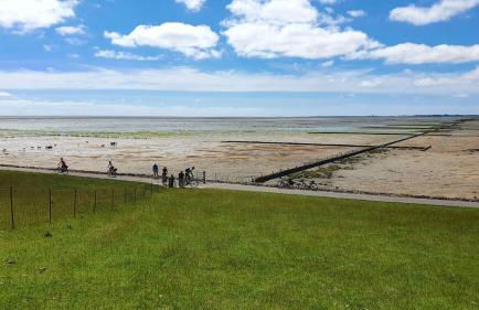 Nordsee_2, max 3 Pers - Foto 25