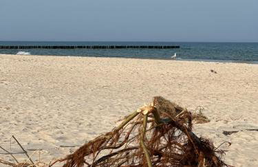 Gold Apartament z widokiem na morze Dziwnówek - Foto 40