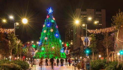 *T2*Vue Garonne*Piscine*Garage* - Foto 5