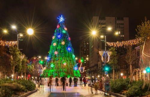*T2*Vue Garonne*Piscine*Garage* - Foto 5