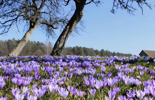 Ferienwohnung bei Tanja und Marcus - Foto 16