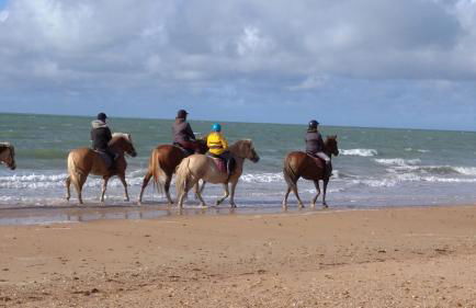 Le gîte Bleu - Foto 10