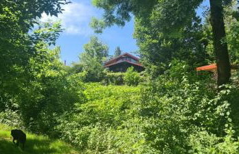 Queen bee's nest - Foto 10