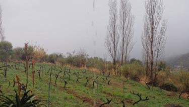 Cortijo El Cerrillo - Foto 3