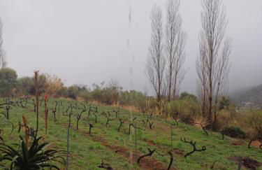 Cortijo El Cerrillo - Foto 3