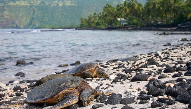 Halii Kai at Waikoloa 2B - Foto 2, Imagen principal
