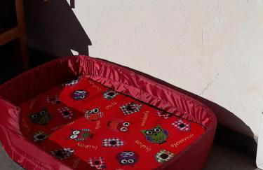 The Green Owl - Foto 43