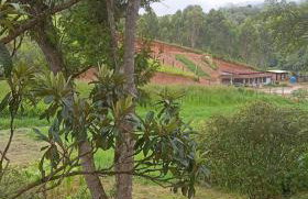 Sítio Vô Nono - Foto 17