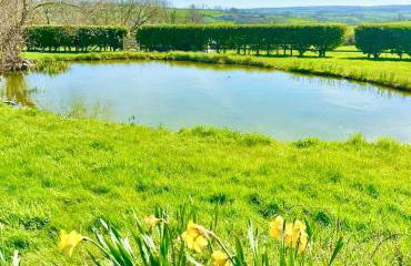 Exclusive Vineyard Estate for 18 Guests - Foto 40