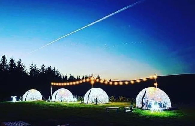 Happy Days Afan Forest - Foto 56