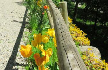 El Bosqueró de La Garrotxa - Foto 39