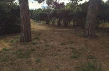 Casa Moser - Foto 11