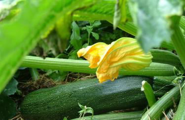 Gites De L'Etang Des Noues - Photo 28