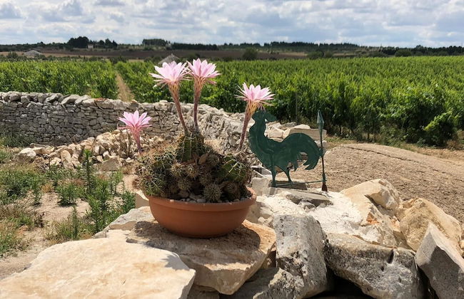 Ai Pilieri di Bagnoli - Foto 65