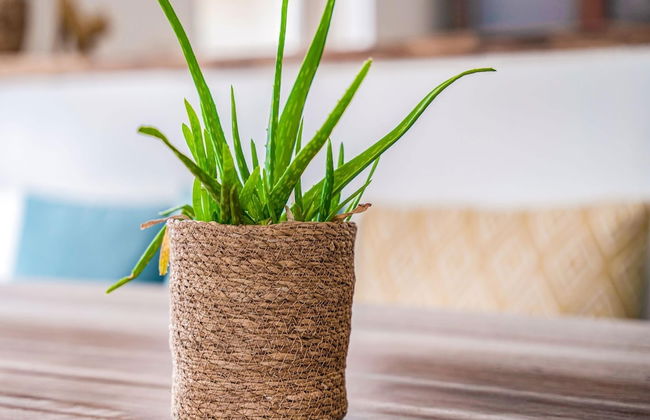 Lovely Holiday Home in Zeewolde With a Swimming Pool - Foto 30