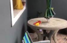 Casa temporada Itanhaém Disponível Natal - Foto 9