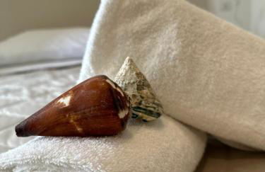 Appartamento Mare - Foto 17