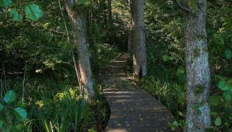 SASKI ZAKĄTEK, WAKACJE W BAJKOWYM DOMKU!!! MAZURY, SAUNA, JEZiORO, POMOST, - Foto 5