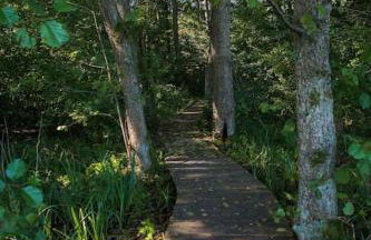 SASKI ZAKĄTEK, WAKACJE W BAJKOWYM DOMKU!!! MAZURY, SAUNA, JEZiORO, POMOST, - Foto 5