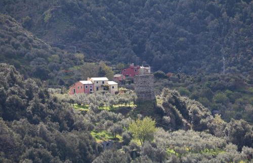 La notte sull'isola - Montaretto - tra il cielo e il mare - Foto 60