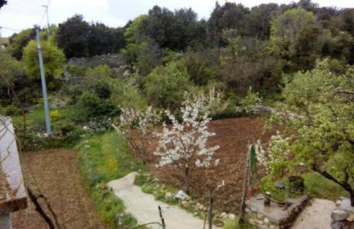 Holiday Home Loznati - Foto 42