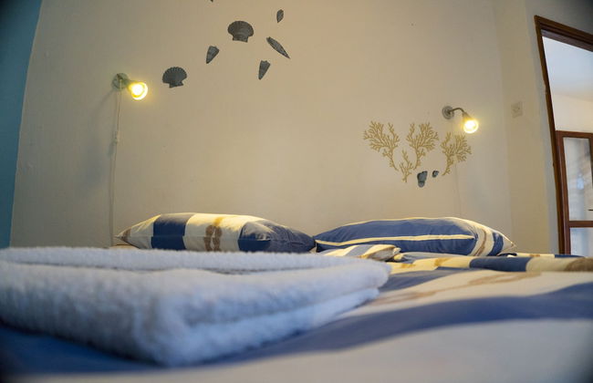 Victorious VIScovery Red - Foto 11