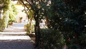 Villa Salvini - Foto 3, Garden view